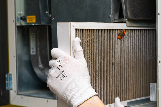 Best Duct Cleaning for Offices  in Sinton, TX